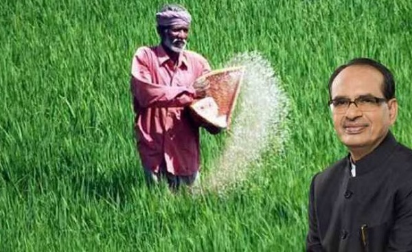 मध्य प्रदेश सरकार के तीन साल, कृषि क्षेत्र में बेमिसाल