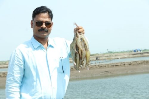 आंध्र प्रदेश की चुनावी बयार में गुजरात के झींगा उत्पादक किसानों की उम्मीदों पर पानी