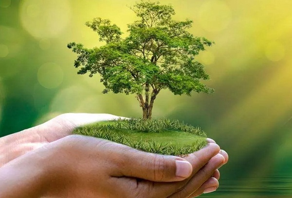 पर्यावरण ही जीवन का स्रोत है