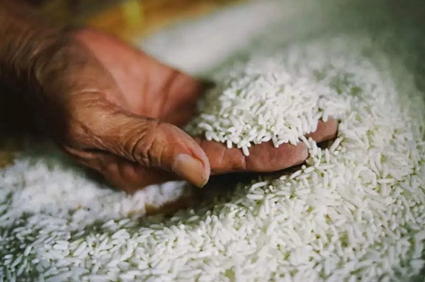 बासमती चावल के नाम पर सफेद चावल का निर्यात, सरकार सख्त