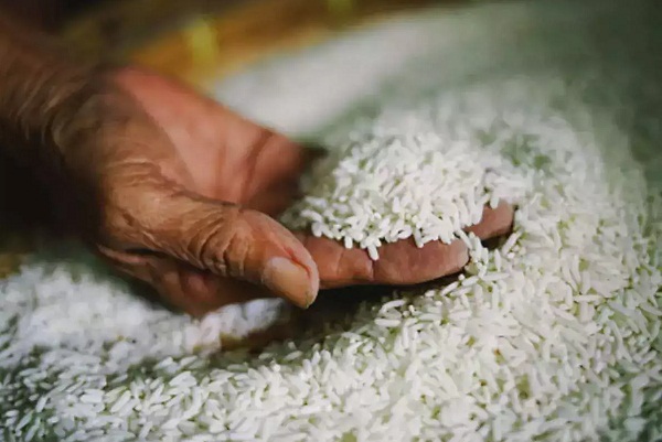 सरकार ने नेपाल को 20 टन गैर-बासमती चावल भेजने की अनुमति दी